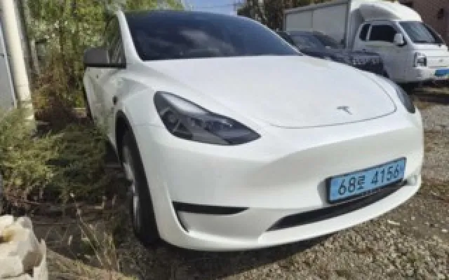 모델 Y RWD 테슬라 2023년 11월 62,600km